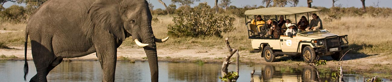 Botswana Luxury Safari
